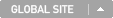 GLOBAL SITE