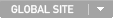 GLOBAL SITE